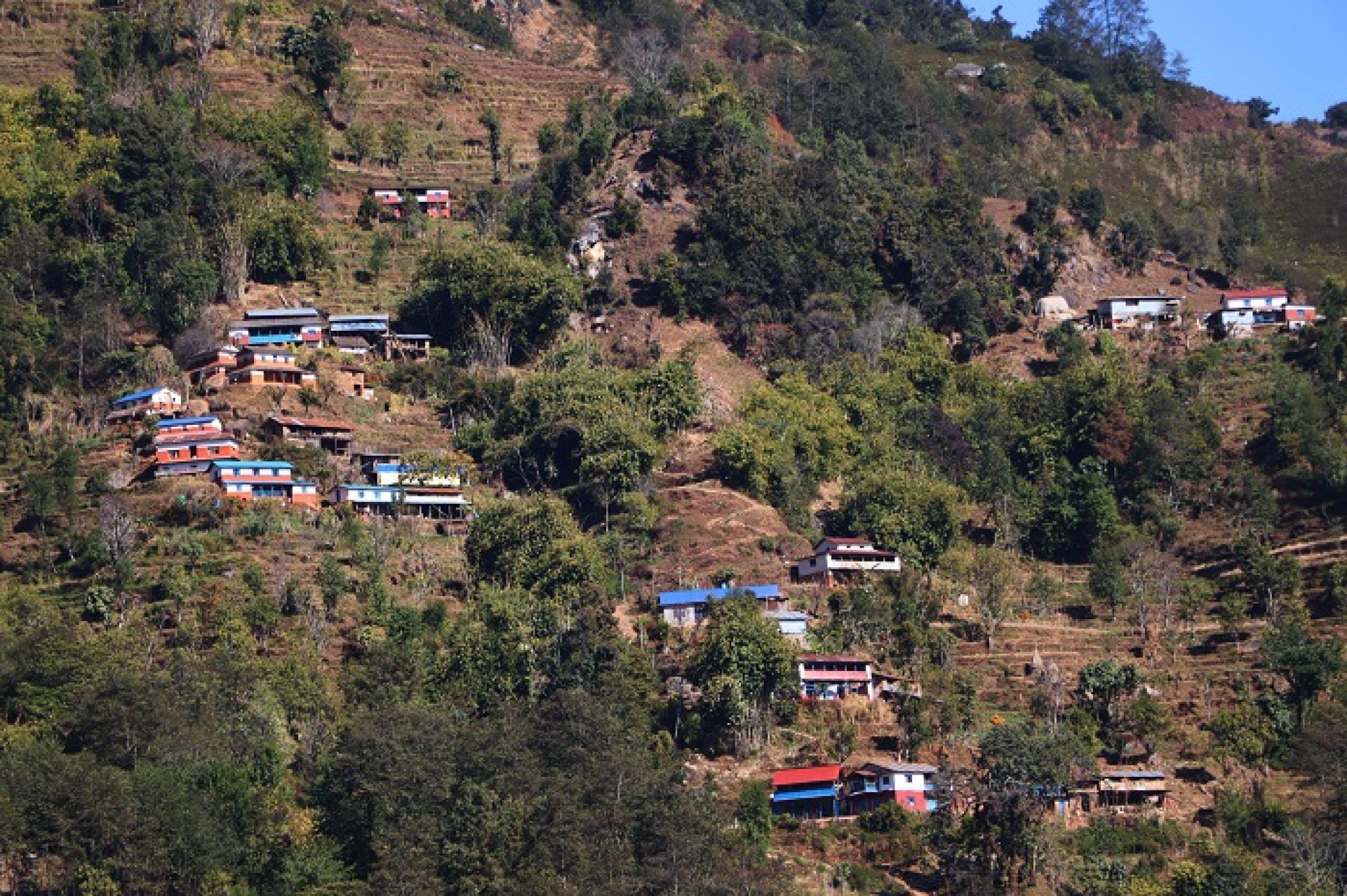 बसाइँसराइले रित्तियो गाउँः सहरमा गाउँले, बस्ती वन्यजन्तुले भरिए 